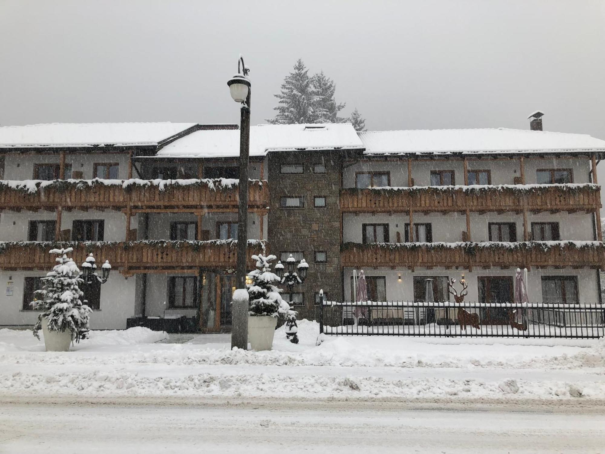Olympic Regina Hotel Пинцоло Экстерьер фото